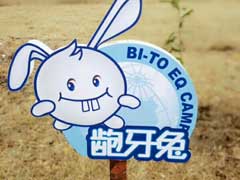 英国每日电讯报关于龅牙兔的介绍