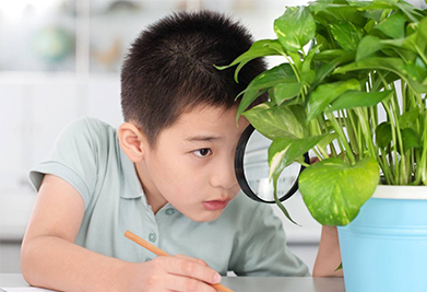 孩子学习不自觉，那他肯定不自律！